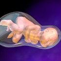 What complications can occur in Childbirth?