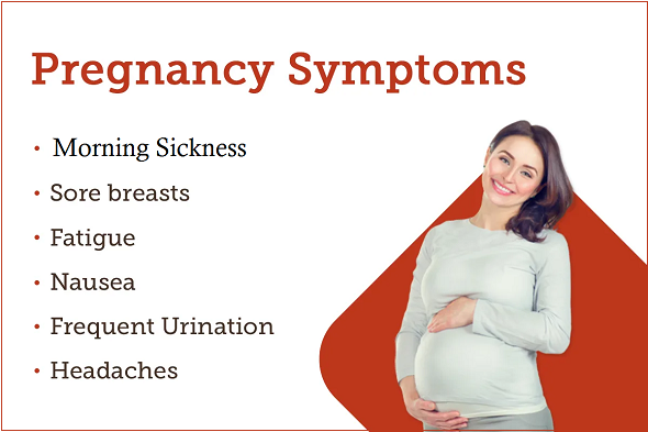  Symptoms of Pregnancy