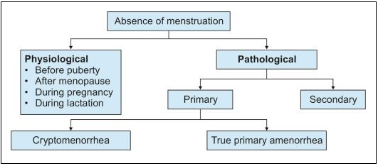 Types of Amenorrhea